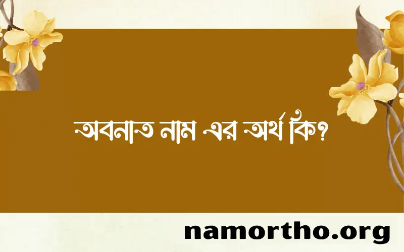 অবনাত নামের অর্থ কি? ইসলামিক আরবি বাংলা অর্থ এবং নামের তাৎপর্য