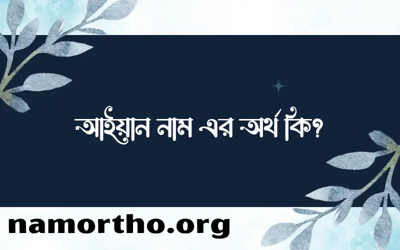 আইয়ান নামের অর্থ কি? আইয়ান নামের ইসলামিক অর্থ এবং বিস্তারিত তথ্য সমূহ