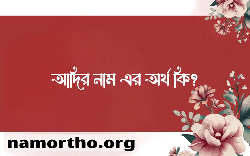 আদির নামের অর্থ কি? ইসলামিক আরবি বাংলা অর্থ