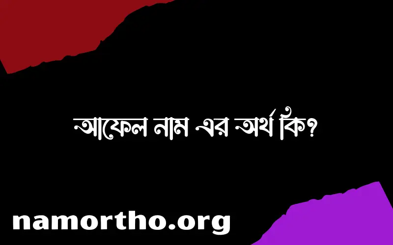 আফেল নামের অর্থ কি? আফেল নামের বাংলা, আরবি/ইসলামিক অর্থসমূহ