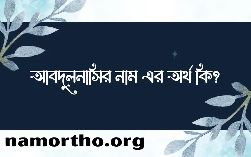 আবদুলনাসির নামের অর্থ কি এবং ইসলাম কি বলে? (বিস্তারিত)