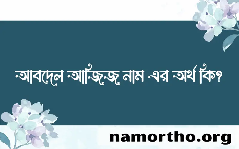 আবদেল আজিজ নামের অর্থ কি? (ব্যাখ্যা ও বিশ্লেষণ) জানুন