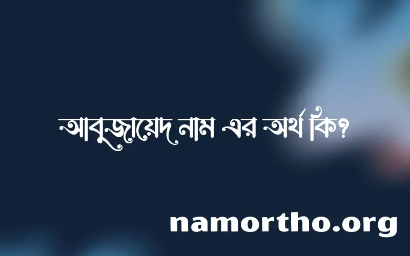 আবুজায়েদ নামের অর্থ কি? আবুজায়েদ নামের বাংলা, আরবি/ইসলামিক অর্থসমূহ