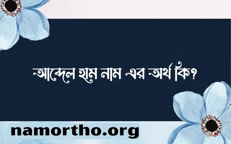 আব্দেল হাম নামের অর্থ কি, ইসলামিক আরবি এবং বাংলা অর্থ জানুন