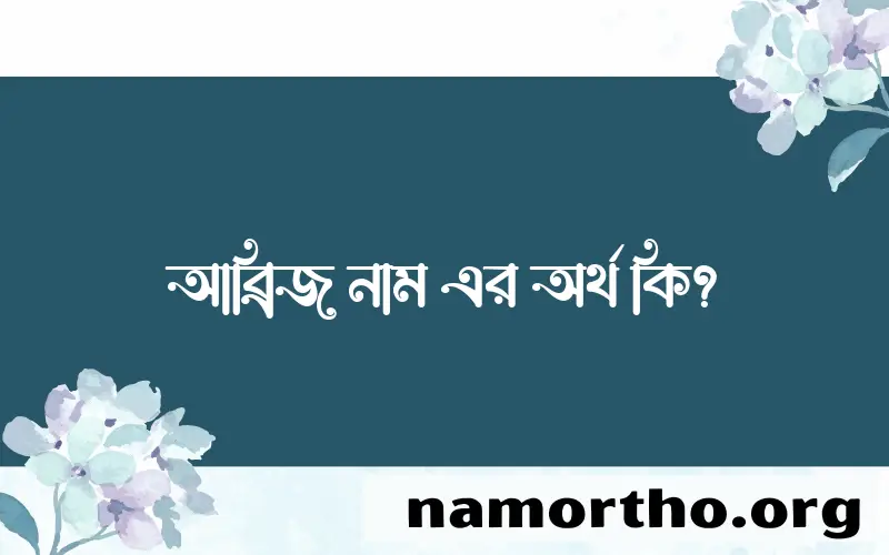 আব্রিজ নামের অর্থ কি? আব্রিজ নামের ইসলামিক অর্থ এবং বিস্তারিত তথ্য সমূহ