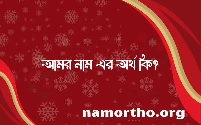 আমর নামের অর্থ কি? আমর নামের বাংলা, আরবি/ইসলামিক অর্থসমূহ