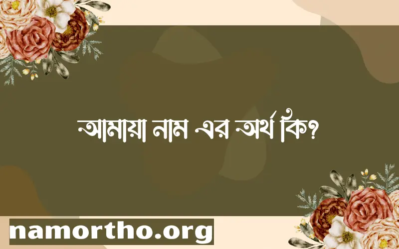 আমায়া নামের অর্থ কি এবং ইসলাম কি বলে? (বিস্তারিত)