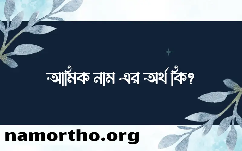 আমিক নামের অর্থ কি? ইসলামিক আরবি বাংলা অর্থ