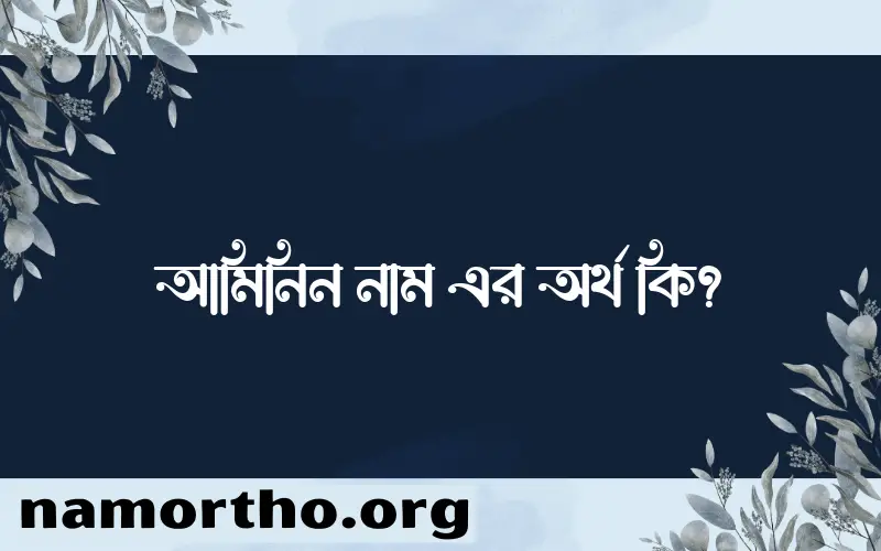 আমিনিন নামের অর্থ কি এবং ইসলাম কি বলে? (বিস্তারিত)