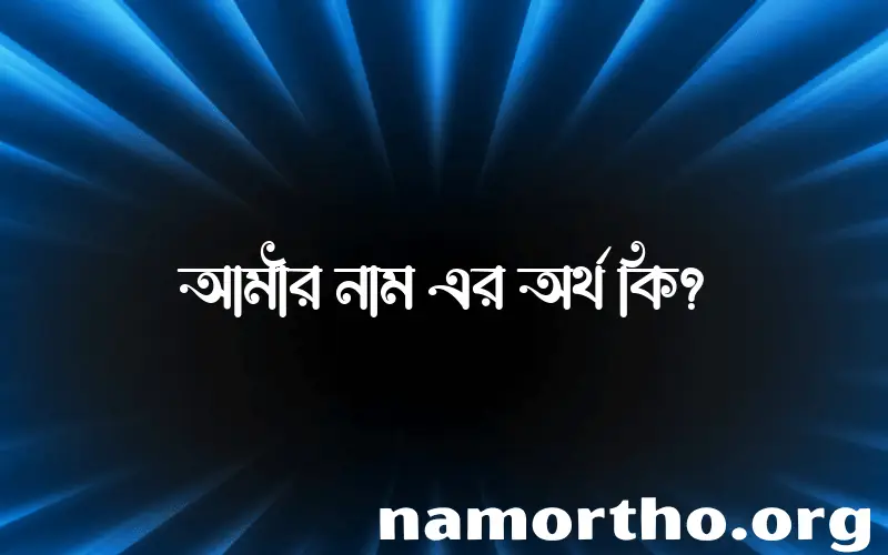 আমীর নামের অর্থ কি? আমীর নামের বাংলা, আরবি/ইসলামিক অর্থসমূহ