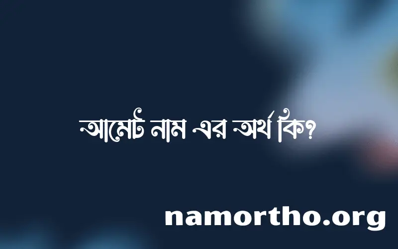 আমেট নামের অর্থ কি, ইসলামিক আরবি এবং বাংলা অর্থ জানুন