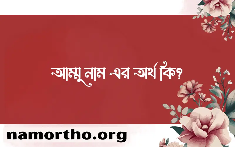 আম্মু নামের অর্থ কি এবং ইসলাম কি বলে? (বিস্তারিত)