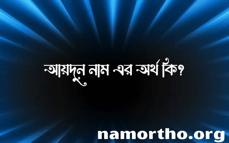 আয়দুন নামের অর্থ কি, বাংলা ইসলামিক এবং আরবি অর্থ?