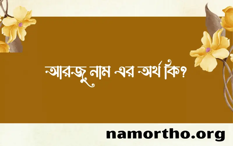 আরজু নামের অর্থ কি? আরজু নামের ইসলামিক অর্থ এবং বিস্তারিত তথ্য সমূহ