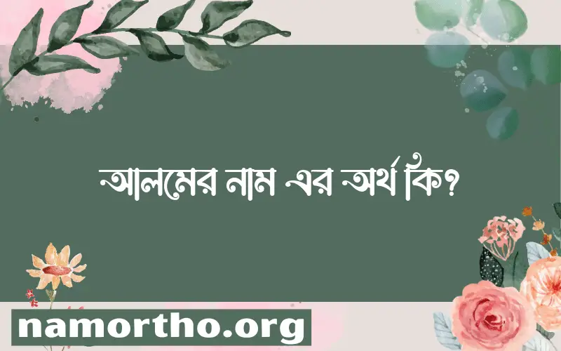 আলমের নামের অর্থ কি, বাংলা ইসলামিক এবং আরবি অর্থ?