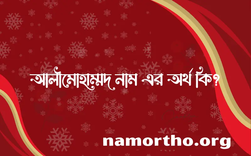 আলীমোহাম্মদ নামের অর্থ কি? আলীমোহাম্মদ নামের বাংলা, আরবি/ইসলামিক অর্থসমূহ