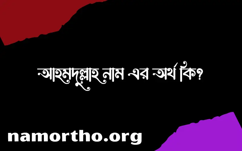 আহমদুল্লাহ নামের অর্থ কি? (ব্যাখ্যা ও বিশ্লেষণ) জানুন