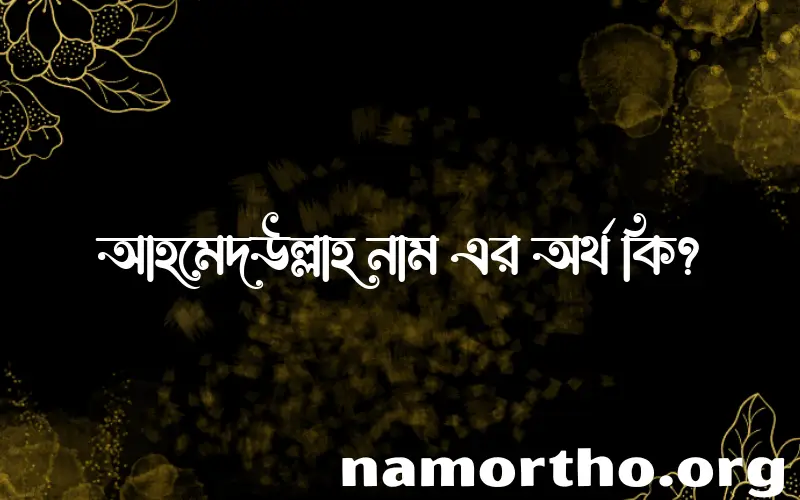 আহমেদউল্লাহ নামের অর্থ কি? আহমেদউল্লাহ নামের ইসলামিক অর্থ এবং বিস্তারিত তথ্য সমূহ