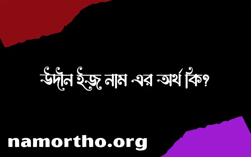 উদীন ইজ নামের অর্থ কি? (ব্যাখ্যা ও বিশ্লেষণ) জানুন