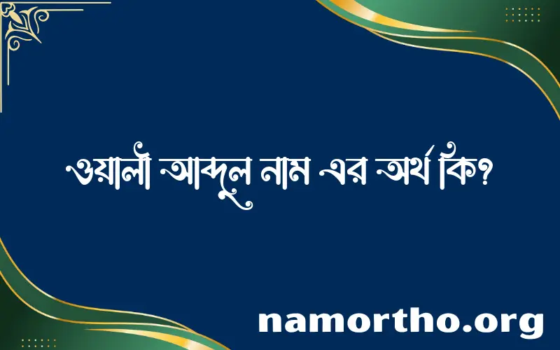 ওয়ালী আব্দুল নামের অর্থ কি এবং ইসলাম কি বলে? (বিস্তারিত)