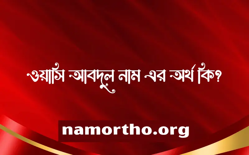 ওয়াসি আবদুল নামের অর্থ কি? ইসলামিক আরবি বাংলা অর্থ এবং নামের তাৎপর্য