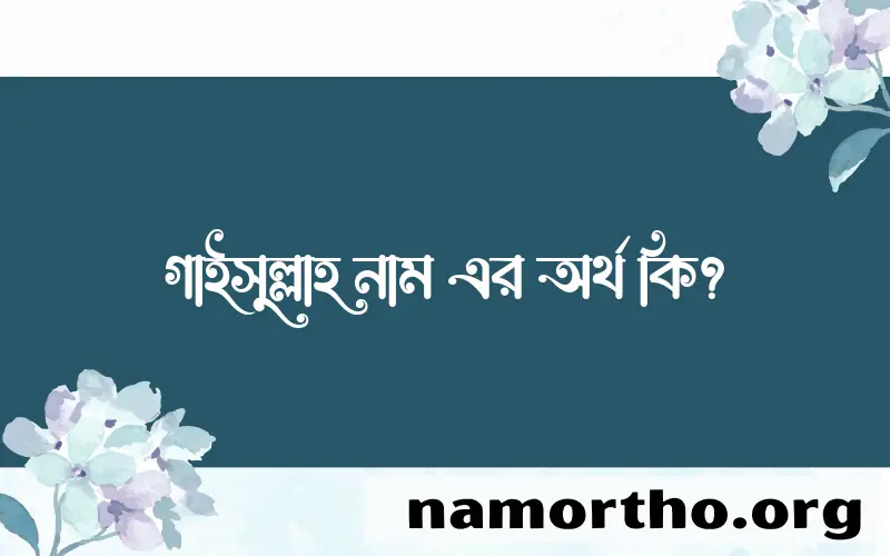গাইসুল্লাহ নামের আর্থ কি?