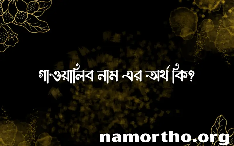গাওয়ালিব নামের আর্থ কি?
