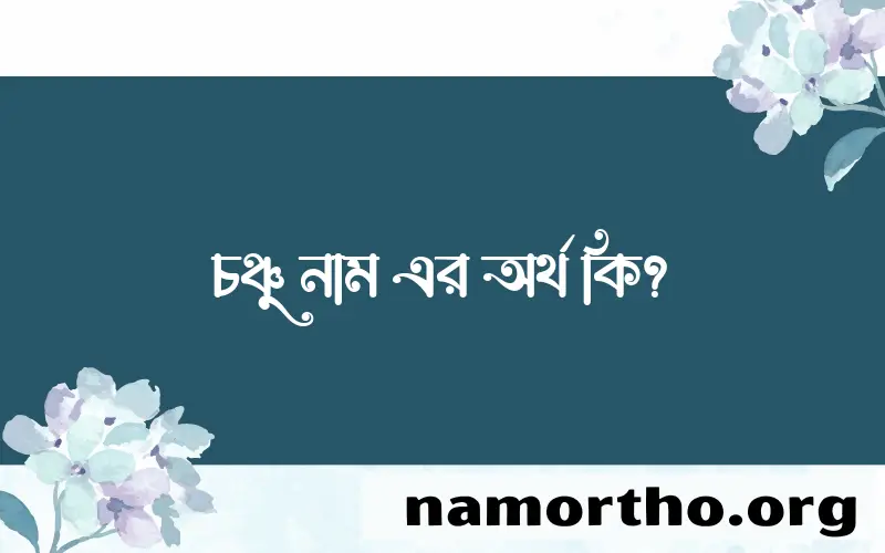 চঞ্চু নামের অর্থ কি? চঞ্চু নামের বাংলা, আরবি/ইসলামিক অর্থসমূহ