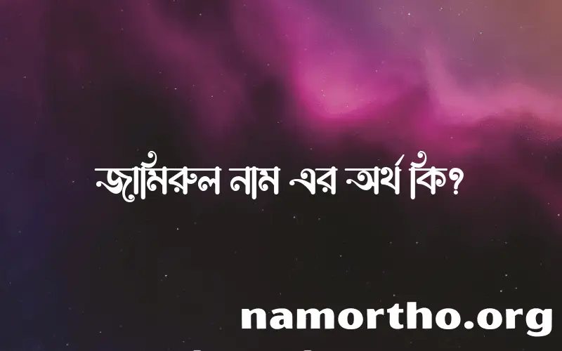 জামিরুল নামের আর্থ কি?