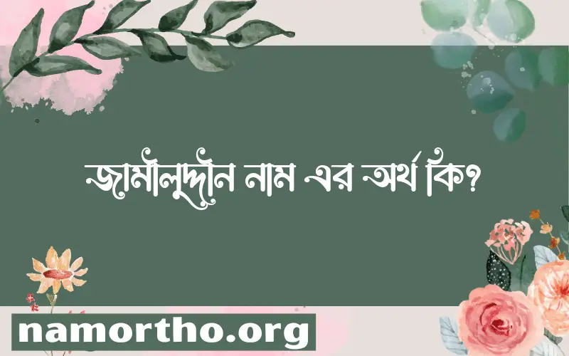 জামীলুদ্দীন নামের আর্থ কি?