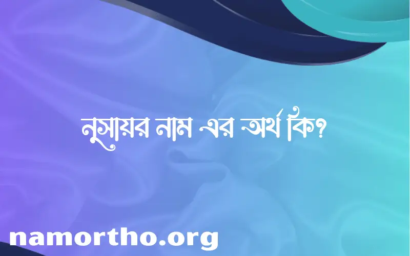 নুসায়র নামের অর্থ কি? নুসায়র নামের বাংলা, আরবি/ইসলামিক অর্থসমূহ