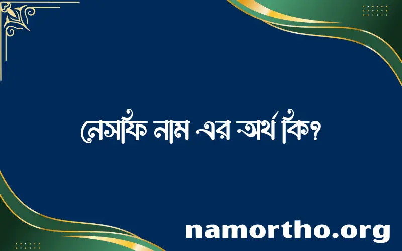 নেসফি নামের অর্থ কি এবং ইসলাম কি বলে? (বিস্তারিত)