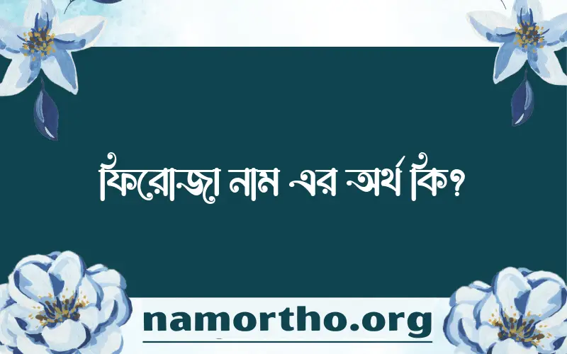 ফিরোজা নামের আর্থ কি?