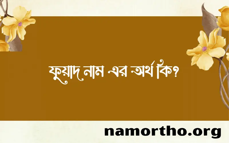 ফুয়াদ নামের অর্থ কি? ফুয়াদ নামের বাংলা, আরবি/ইসলামিক অর্থসমূহ