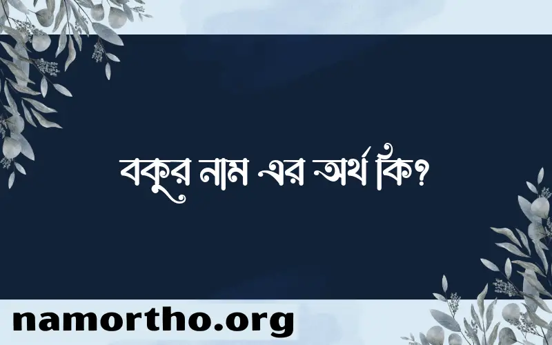 বকুর নামের অর্থ কি, বাংলা ইসলামিক এবং আরবি অর্থ?