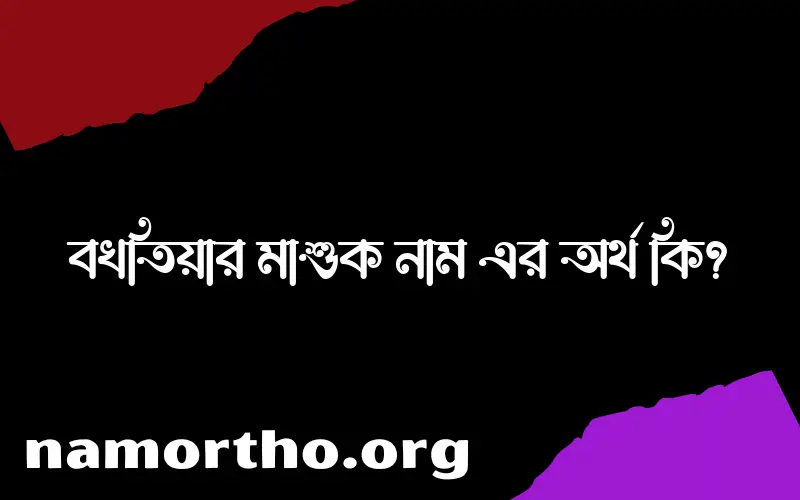 বখতিয়ার মাশুক নামের অর্থ কি? বখতিয়ার মাশুক নামের বাংলা, আরবি/ইসলামিক অর্থসমূহ