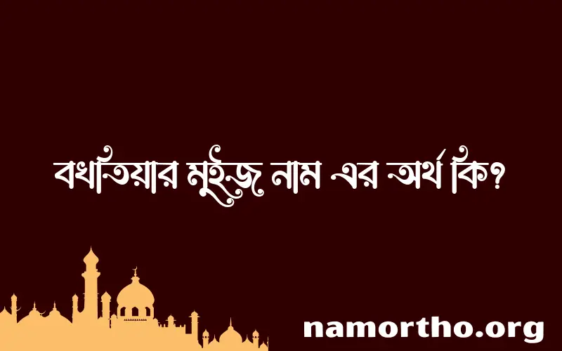 বখতিয়ার মুইজ নামের অর্থ কি, ইসলামিক আরবি এবং বাংলা অর্থ জানুন