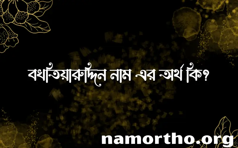 বখতিয়ারুদ্দিন নামের অর্থ কি? (ব্যাখ্যা ও বিশ্লেষণ) জানুন