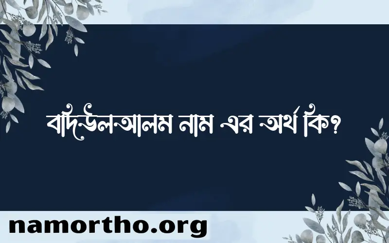 বদিউলআলম নামের অর্থ কি? ইসলামিক আরবি বাংলা অর্থ এবং নামের তাৎপর্য