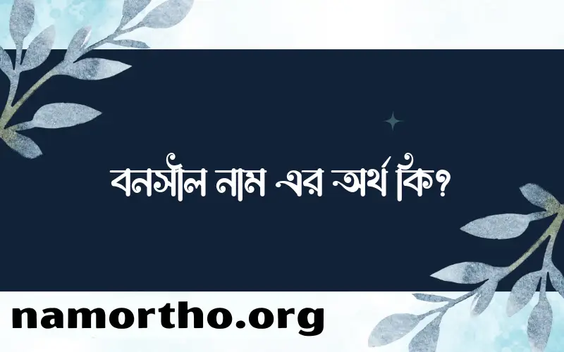 বনসীল নামের অর্থ কি? বনসীল নামের বাংলা, আরবি/ইসলামিক অর্থসমূহ