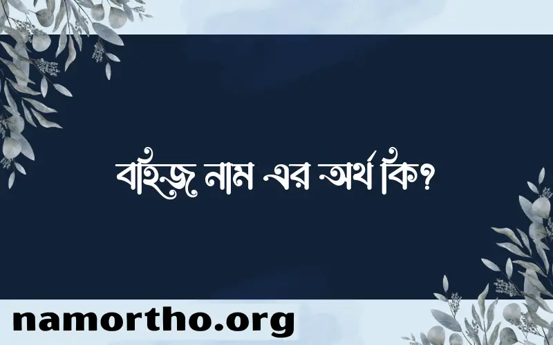 বহিজ নামের অর্থ কি, বাংলা ইসলামিক এবং আরবি অর্থ?