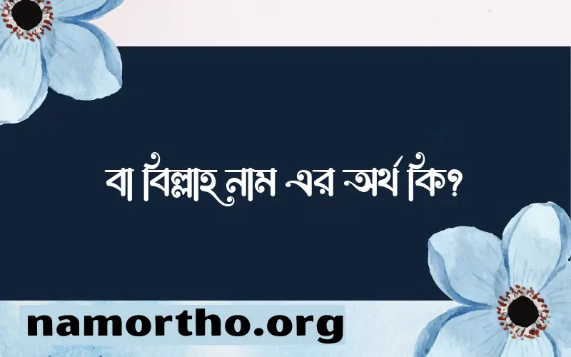 বা বিল্লাহ নামের অর্থ কি এবং ইসলাম কি বলে? (বিস্তারিত)