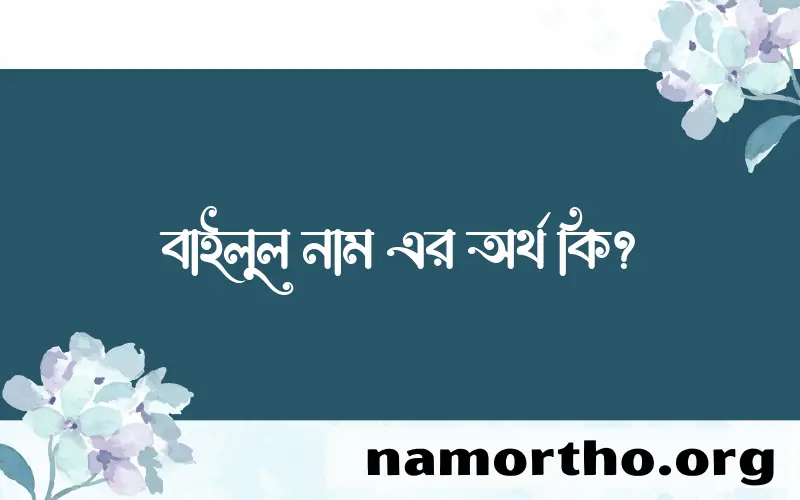 বাইলুল নামের অর্থ কি, বাংলা ইসলামিক এবং আরবি অর্থ?