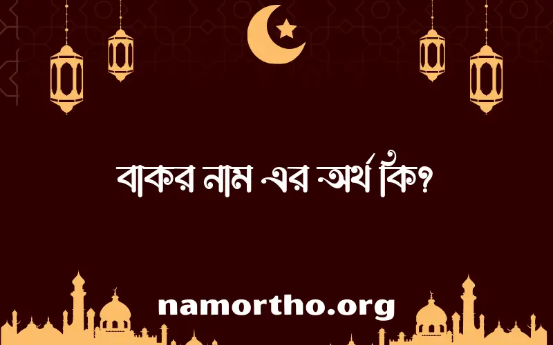 বাকর নামের অর্থ কি? বাকর নামের বাংলা, আরবি/ইসলামিক অর্থসমূহ