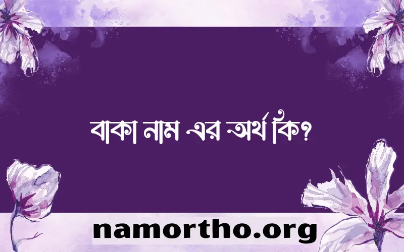 বাকা নামের অর্থ কি? ইসলামিক আরবি বাংলা অর্থ এবং নামের তাৎপর্য