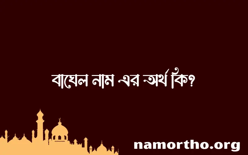 বাঘেল নামের অর্থ কি এবং ইসলাম কি বলে? (বিস্তারিত)