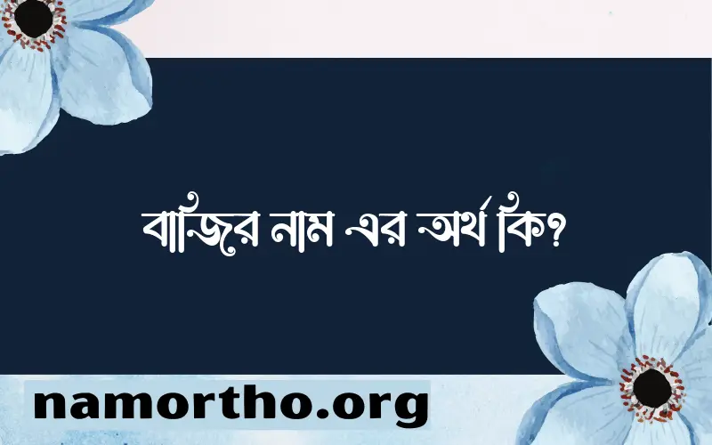 বাজির নামের অর্থ কি? (ব্যাখ্যা ও বিশ্লেষণ) জানুন