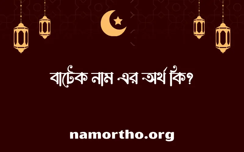 বাটেক নামের অর্থ কি এবং ইসলাম কি বলে? (বিস্তারিত)