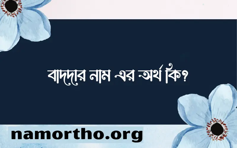 বাদদার নামের অর্থ কি? (ব্যাখ্যা ও বিশ্লেষণ) জানুন