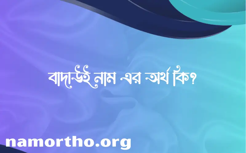 বাদাউই নামের অর্থ কি, ইসলামিক আরবি এবং বাংলা অর্থ জানুন